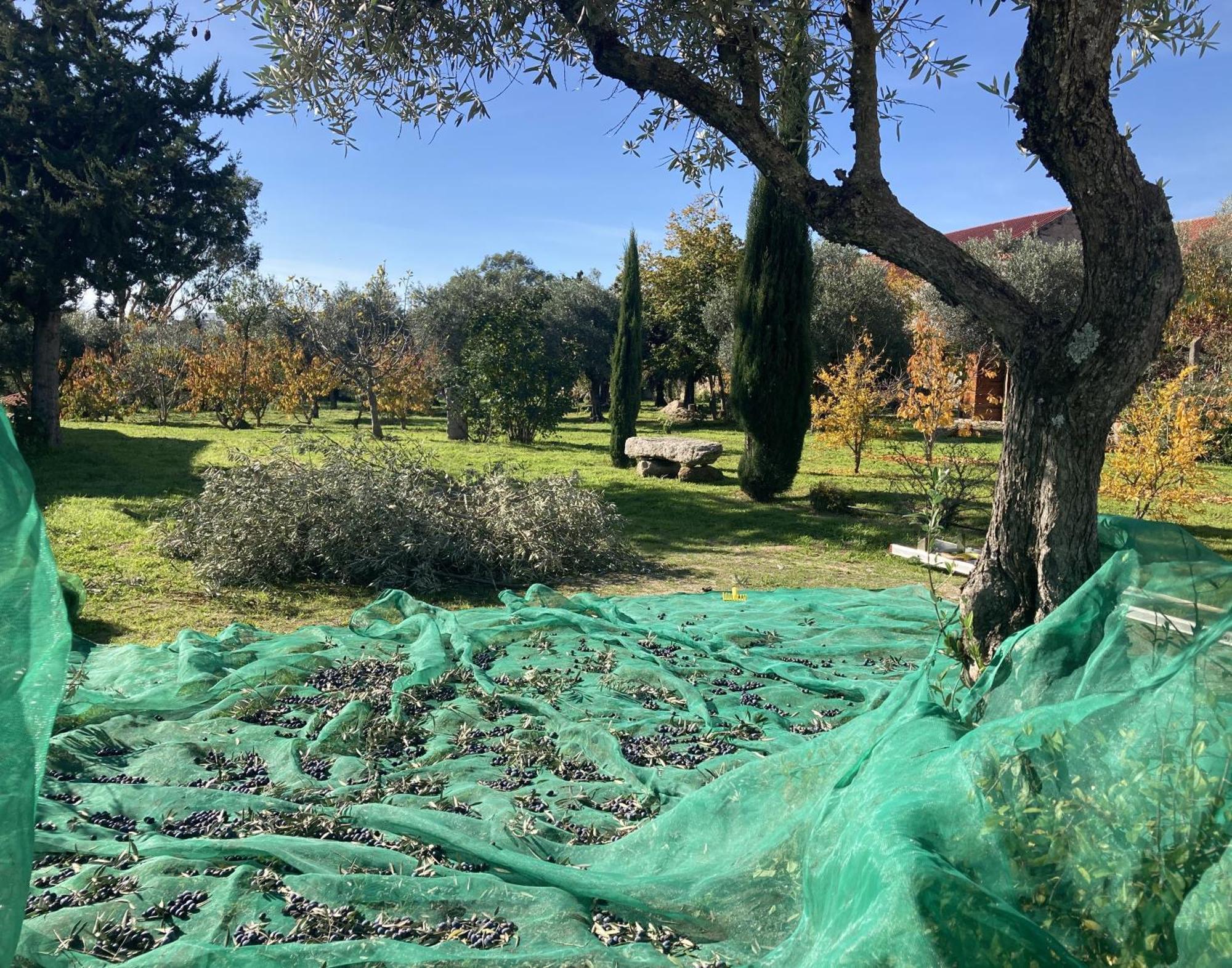 Ar Da Beira Villa Belmonte  Buitenkant foto