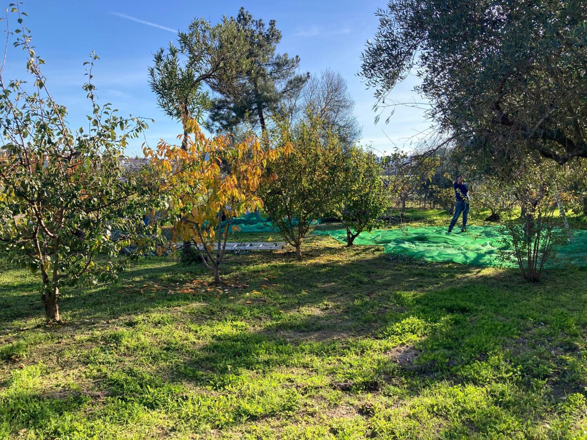 Ar Da Beira Villa Belmonte  Buitenkant foto